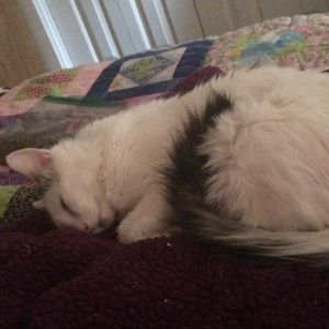 Meet your Posher, Vivianne